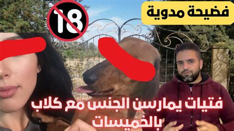 فيديوهات بورنو مجانية وعالية الجودة، أفلام جنس HQ ساخنة